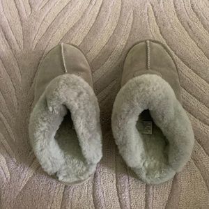 Bearpaw slippers